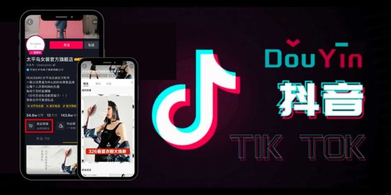 Tải video douyin bằng snapdouyin