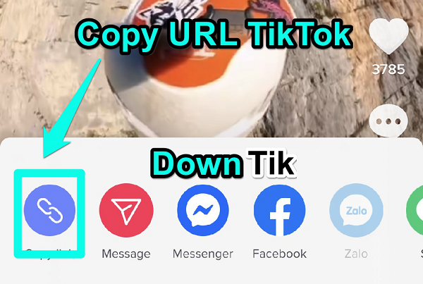 Download TikTok Videos with By Click Downloader