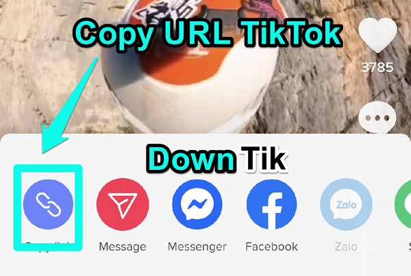 Download Video TikTok No Watermark Tiktok Downloader DownTik Io