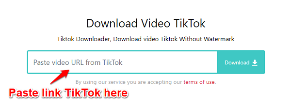 TikDown - TikTok Downloader, Download TikTok Videos Without Watermark